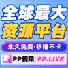 PP视频